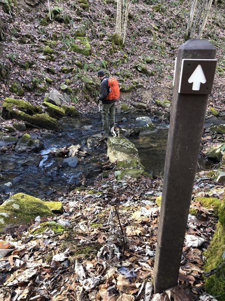 Slippery but shallow creek crossing.