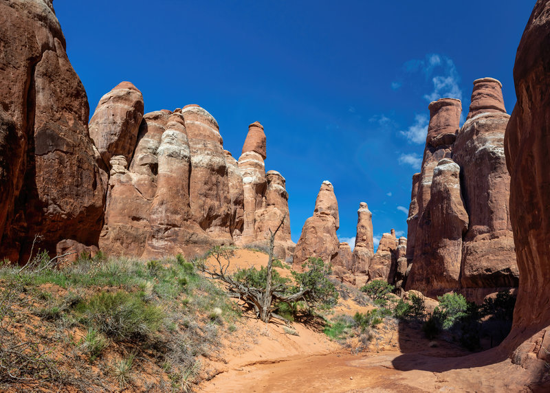 One of the many sandy washes in Fiery Furnace