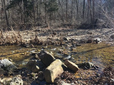 One of the few creek crossings that are encountered along the trail!