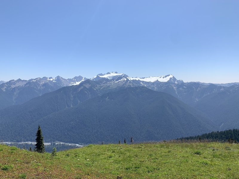 View of the Olympic Peaks from the High Divide!