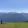 View of the Olympic Peaks from the High Divide!