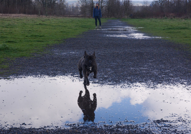 Enjoying 1000 acres of freedom on a wet but sunny February day.