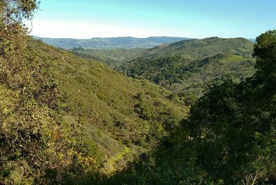 Nearby are the wooded and brush covered hills of Rancho Canada del Oro Open Space Preserve, with the trail far below. In the far distance across Coyote Valley, is the Diablo Range, seen looking east from high on Longwall Canyon Trail.