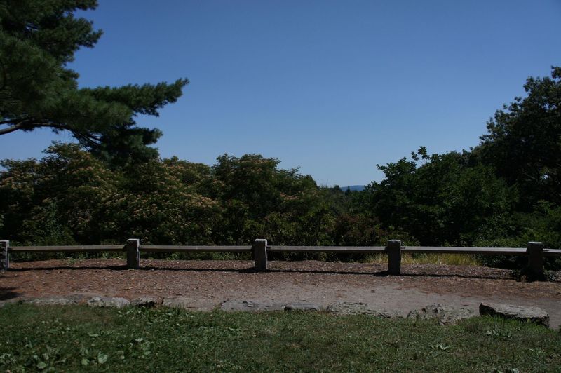 arnold arboretum