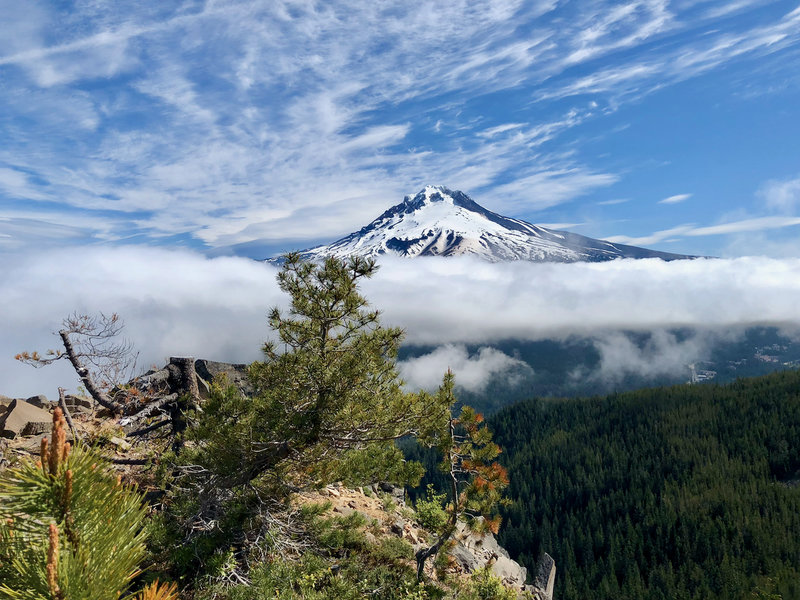 Mt Hood from Tom, Dick & Harry