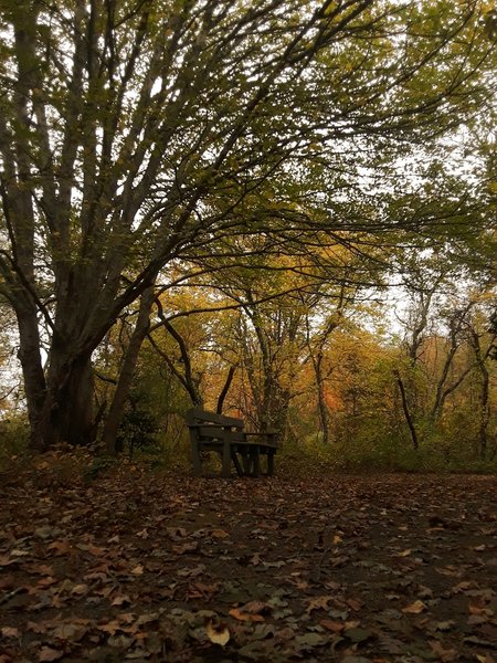 One of the benches placed around the refuge