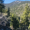 Lower Genoa Canyon Trail. Looking north west. Trail in lower left corner is indicative of trail condition.