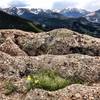 Lily Mountain Trail, view from the summit.  July 2019