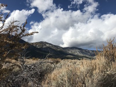 Beginning of Jobs Peak Trail. Beautiful views of Eastern Sierras. Rich variation of colors in brush. Taken in Fall.
