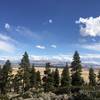 Jobs Peak Trail. About 1-2 miles in. The beauty if this trail is in the vistas of Carson Valley and views of the  Eastern Sierras.  Go on a day with cumulous clouds in the sky. The desert brush is gorgeous too.