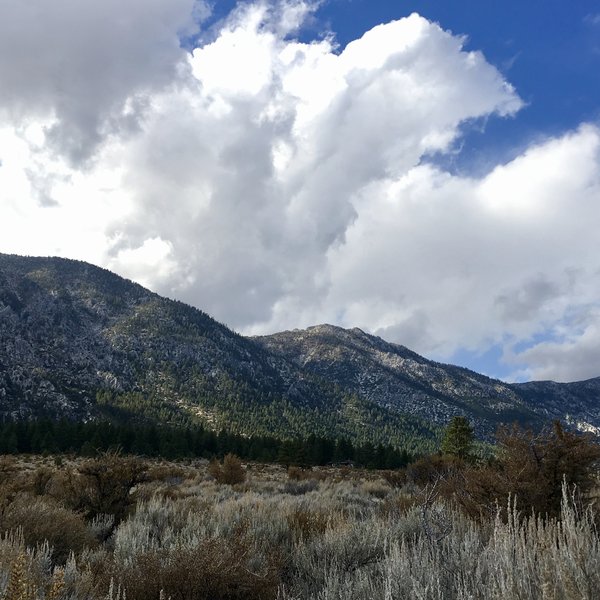 Great Views of Eastern Sierras at beginning of hike.