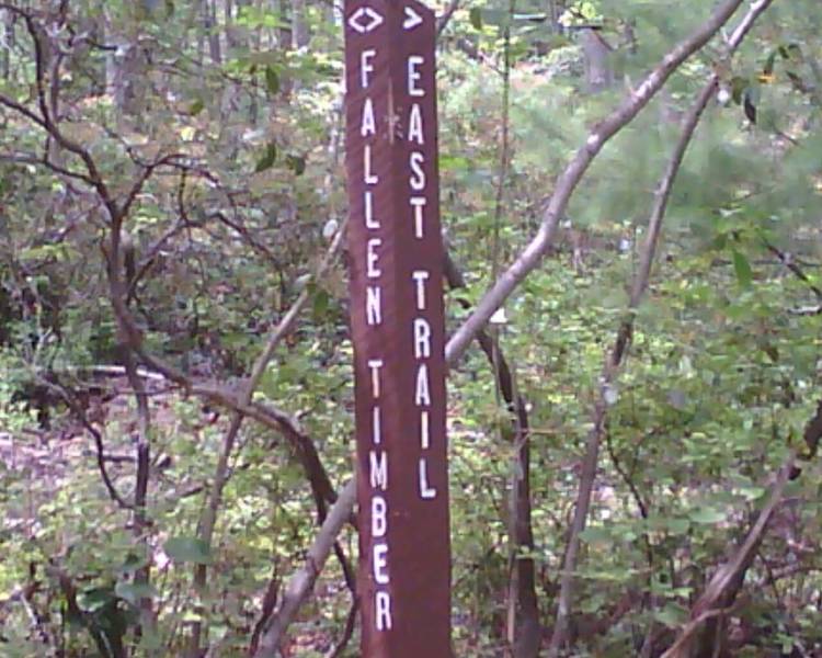 Trail sign along the Fallen Timber Trail