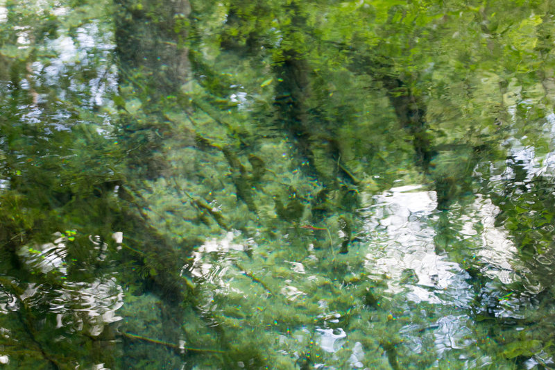 Ichetucknee Springs Water