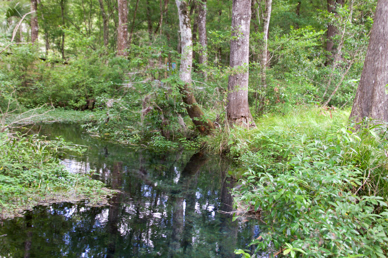 Ichetucknee Springs