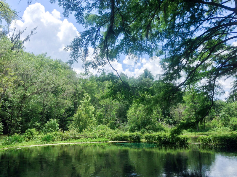 Ichetucknee Springs State Park