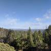 Forest valley view from ridge lookout