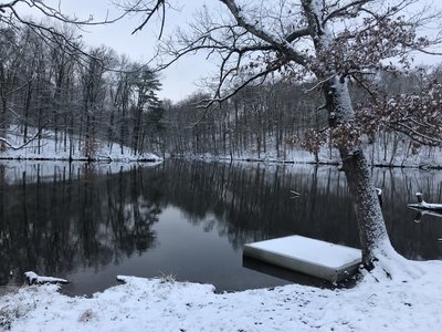 View of lake from shore along trail by the shelter building. Location approximate.