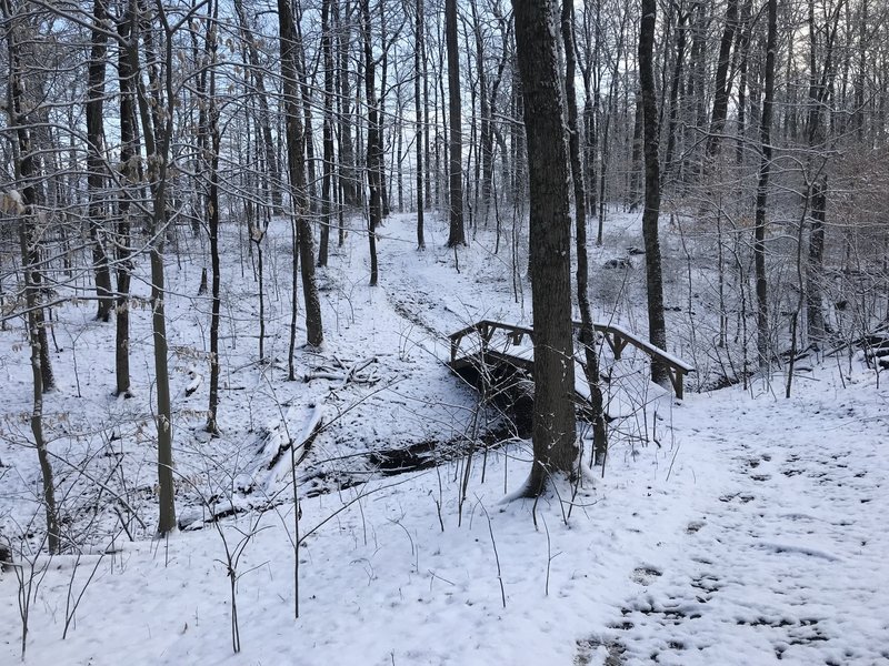 Bridge along trail. Location approximate.