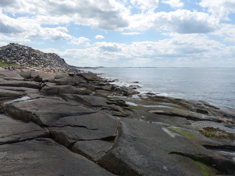 Halibut Point