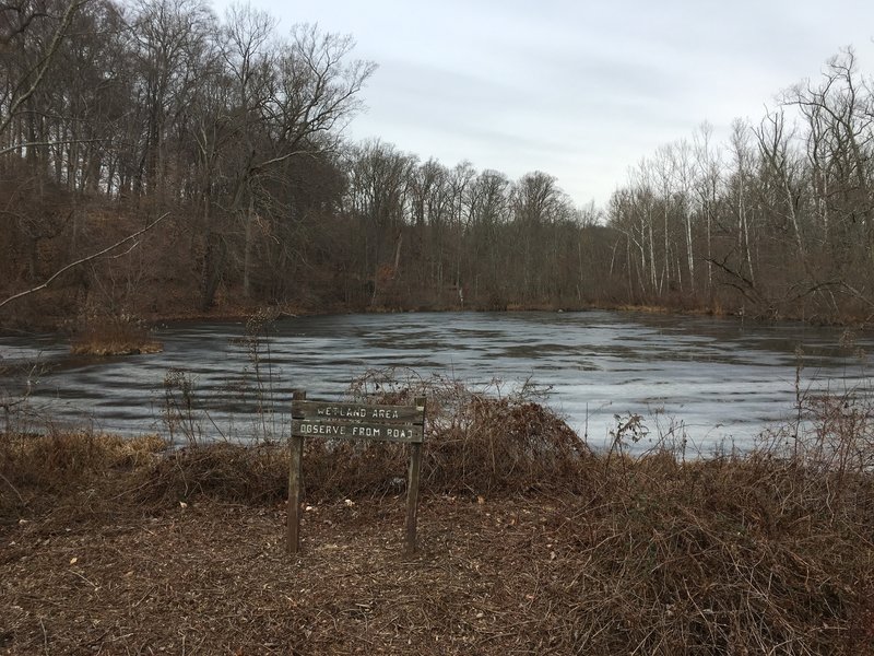 Pond close to the trail, a very peaceful place.