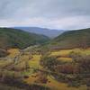 View from Seneca Rocks Lookout