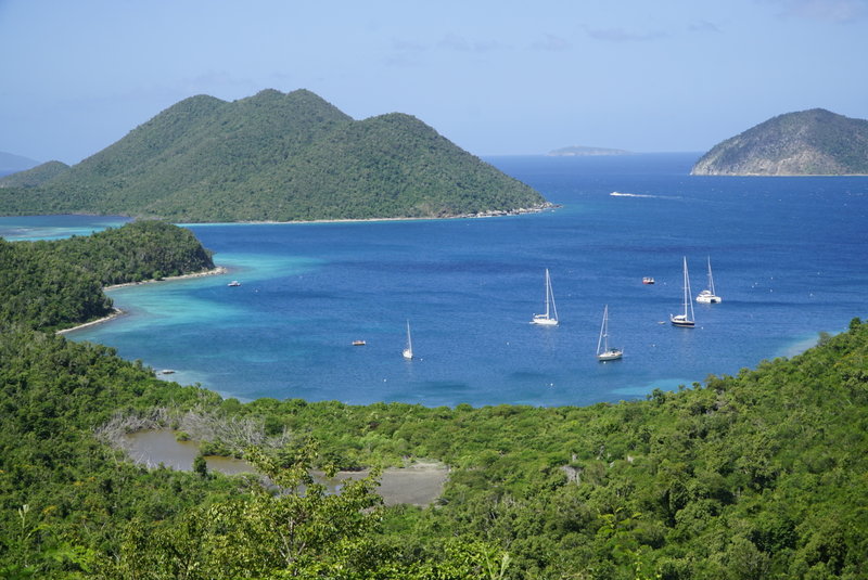 Wide view of Leinster Bay.