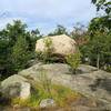 Look for the big boulder at the entrance to the Forgotten Loop.