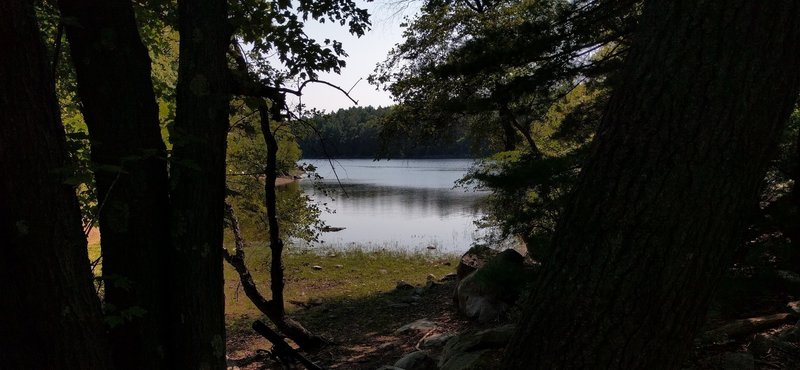 Pretty view of the lake on Overlook Trail.