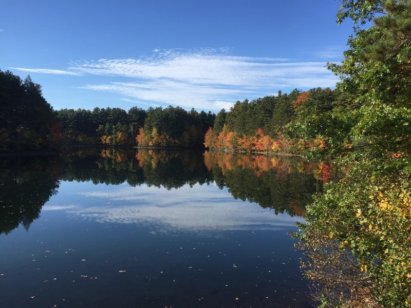 Fall Foliage