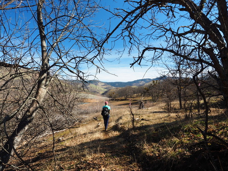 Approaching Songer Wayside