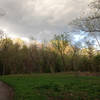 Bussey Brook Meadow