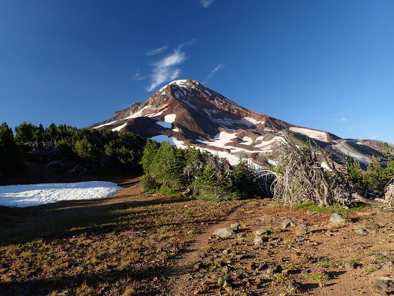 South Sister from the divide west of Camp Lake.