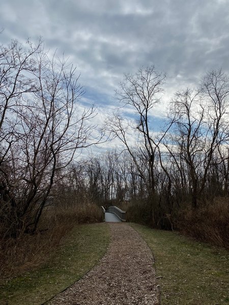 Small Bridge over the creek.