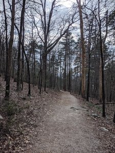 The trail levels out in some areas but has a steady uphill incline. My 7 year old was able to do it without issues but those with limited mobility may struggle and can drive up.