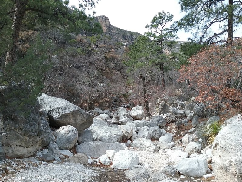 Trail starting to go up the wash.