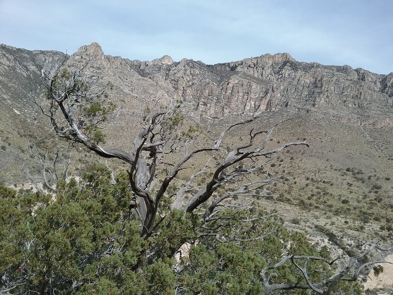 Looking north on the trail.