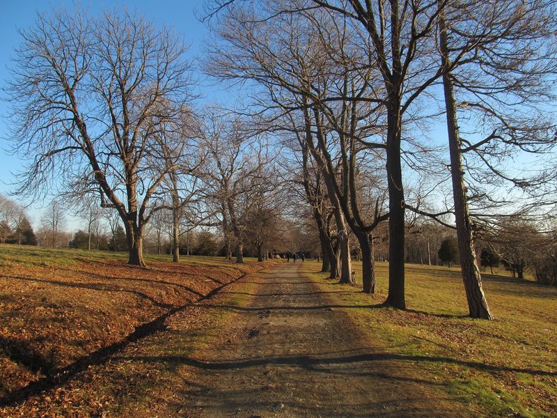 Brewer Road at World's End