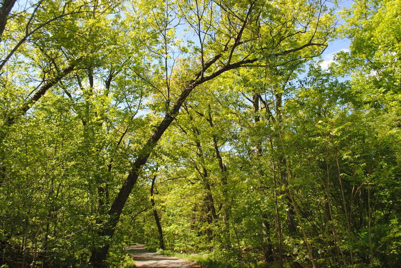 Middlesex Fells Reservation