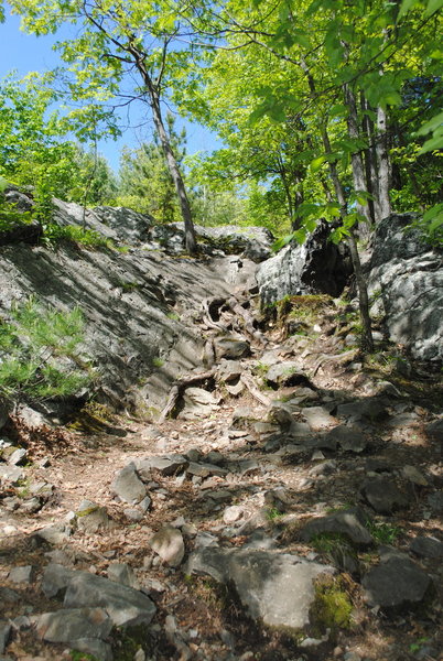 Middlesex Fells Reservation