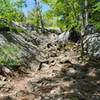 Middlesex Fells Reservation