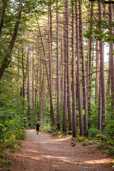 Middlesex Fells, Medford, United States