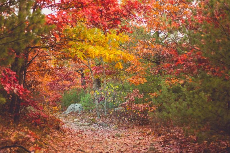 Middlesex Fells, Medford, United States