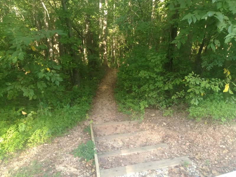 Stairs to Richland Creek Trail