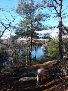 Jack is returning from his scouting run.