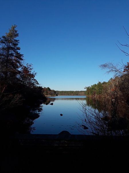 Water level view of the Yawgoog Pond from the southwest corner.