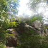 Part glacial erratic, part bedrock, the rock is a unique feature to the area.