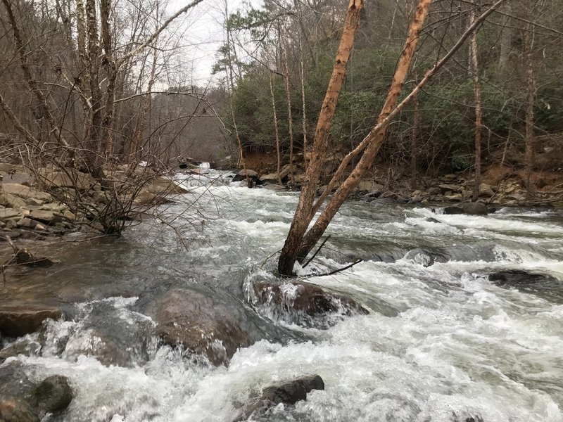 Johnnies Brook flowing into Little River.