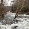 Johnnies Brook flowing into Little River.