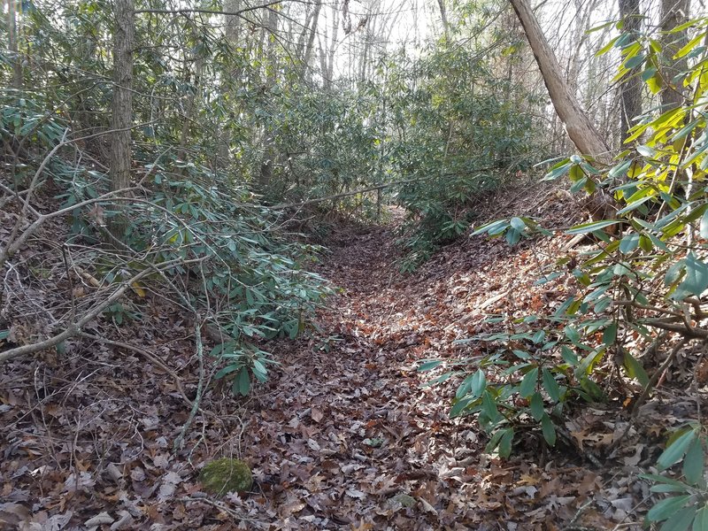 Unicoi Turnpike Trail showing the actual groove of the old turnpike