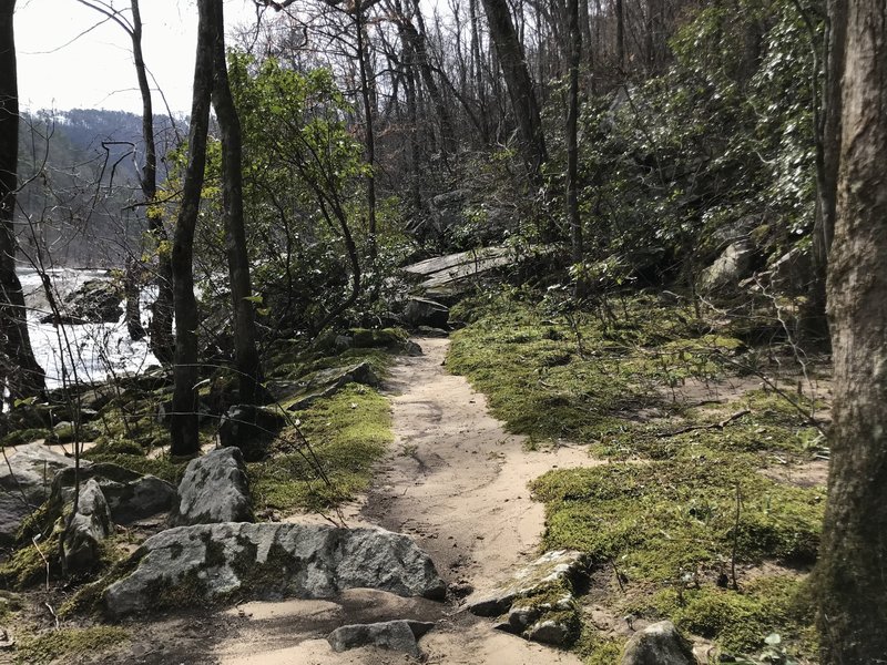 Sandy path along the river's edge.